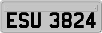 ESU3824