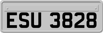 ESU3828