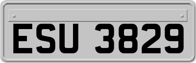 ESU3829