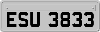 ESU3833