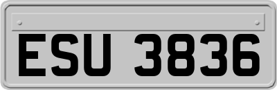 ESU3836