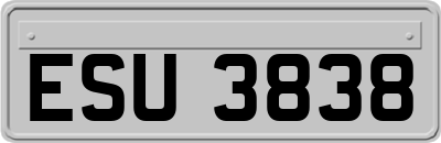 ESU3838
