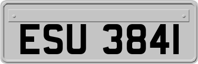 ESU3841