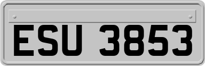 ESU3853