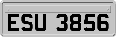 ESU3856