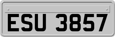 ESU3857