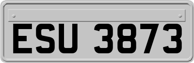 ESU3873