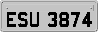ESU3874