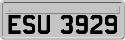 ESU3929