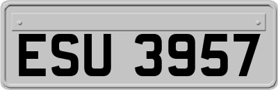 ESU3957