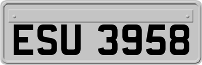 ESU3958