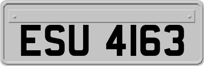 ESU4163