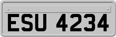 ESU4234