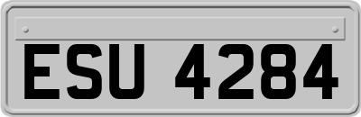 ESU4284