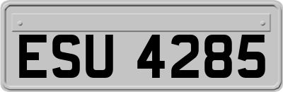 ESU4285