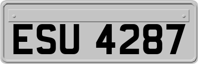 ESU4287