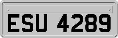 ESU4289