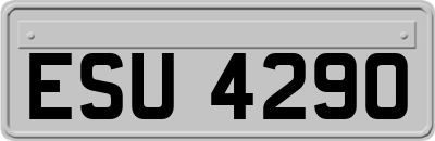 ESU4290