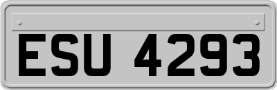 ESU4293