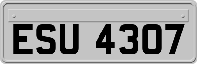 ESU4307