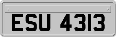 ESU4313
