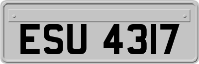 ESU4317