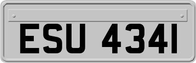 ESU4341