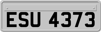 ESU4373