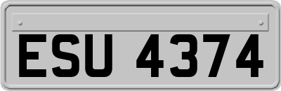 ESU4374