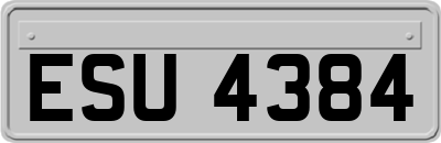 ESU4384