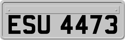 ESU4473