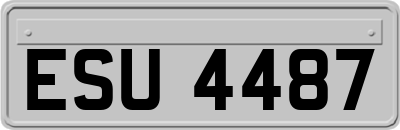 ESU4487