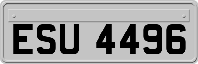 ESU4496