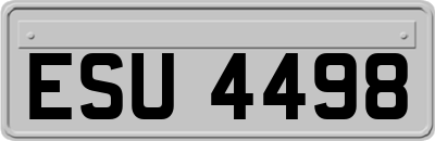 ESU4498