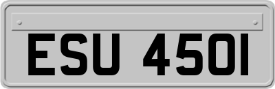 ESU4501