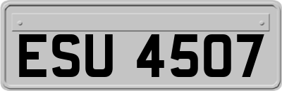 ESU4507