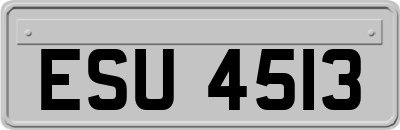 ESU4513