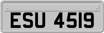 ESU4519