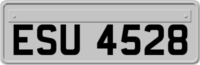 ESU4528