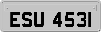 ESU4531