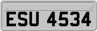 ESU4534