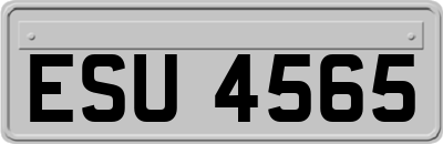 ESU4565