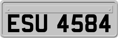 ESU4584