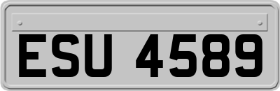 ESU4589