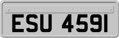 ESU4591