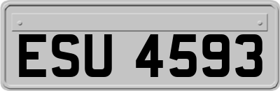 ESU4593