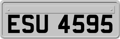 ESU4595