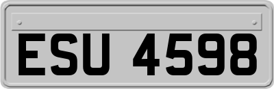 ESU4598
