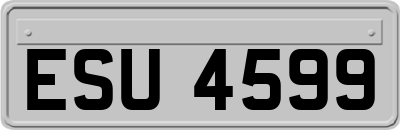 ESU4599