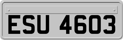 ESU4603
